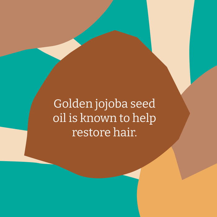 Jojoba shampoo & conditioner set - 5L