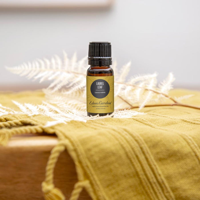 Laurel Leaf Essential Oil