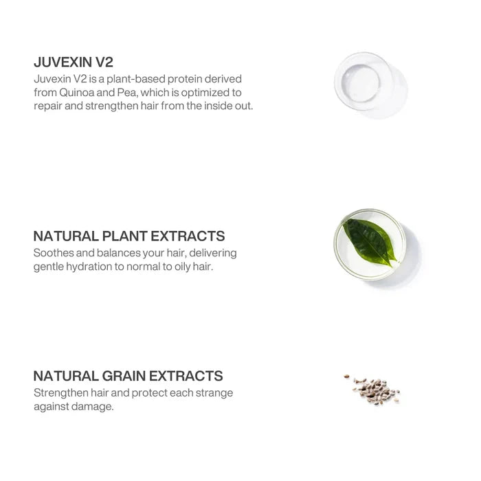 Ingredient panel for Leave-In Conditioner Hair Cream: Juvexin V2 quinoa and pea protein, natural plant and grain extracts