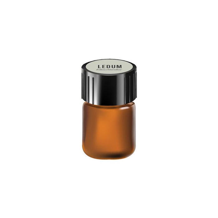 Sample of Ledum Essential Oil