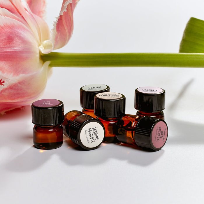 Lifestyle image of Sample of Ledum Essential Oil