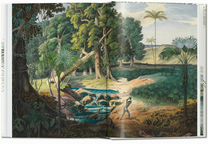 Martius. The Book of Palms. 45th Ed.