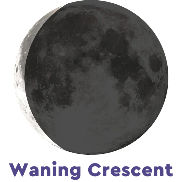 Moonglow Silver Link Bracelet CD