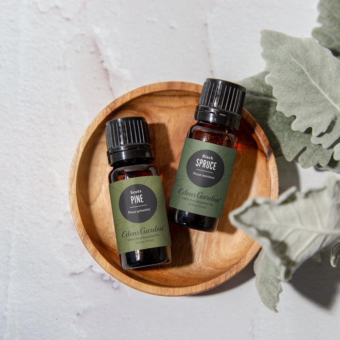 Pine- Scots Essential Oil