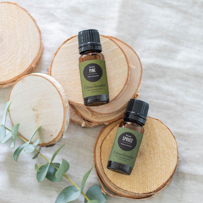 Pine- Scots Essential Oil