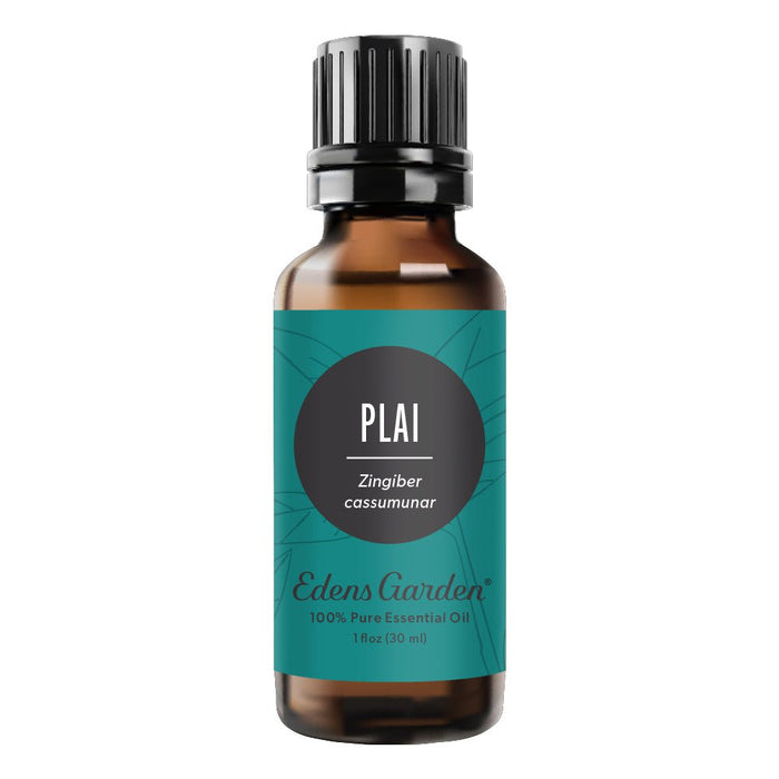 Plai Essential Oil