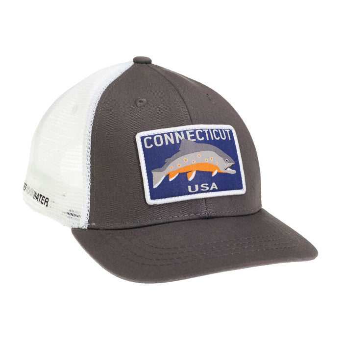Rep Your Water Connecticut Brookie Hat