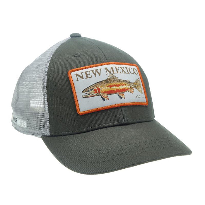 Rep Your Water New Mexico Artists Reserve Hat