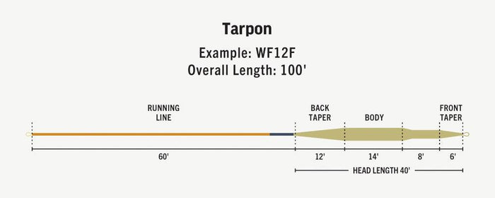 RIO Premier Tarpon saltwater fly line - detail view
