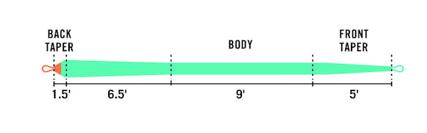 RIO Skagit Max spey line - detail view