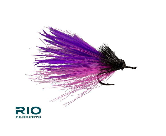 Rio's Dread Pirate 6-Pack