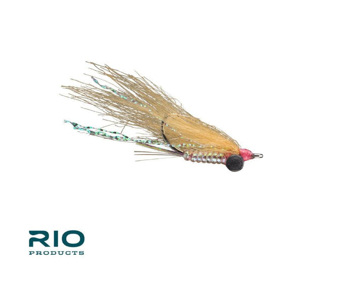 Rio's Gotcha Heavy 12-Pack
