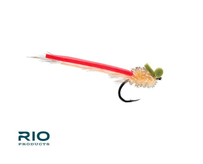 Rio's Palolo Slider 12-Pack
