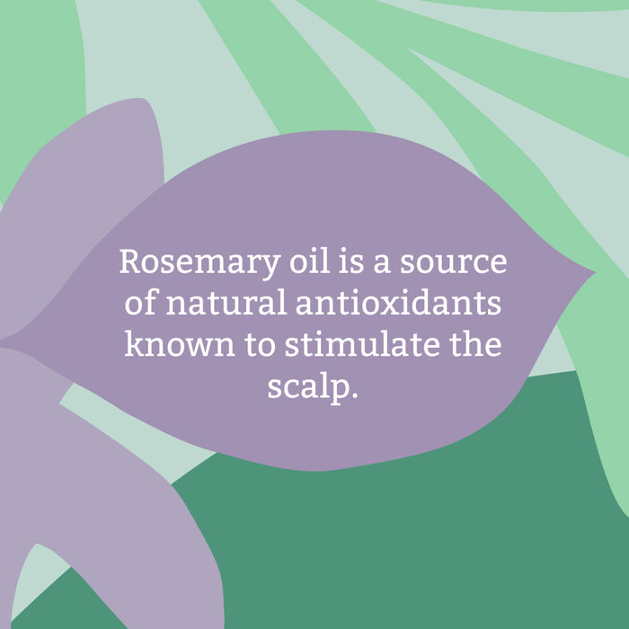 Rosemary conditioner - 5L