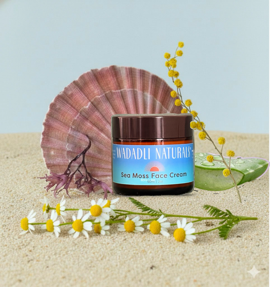 Sea Moss Face Cream
