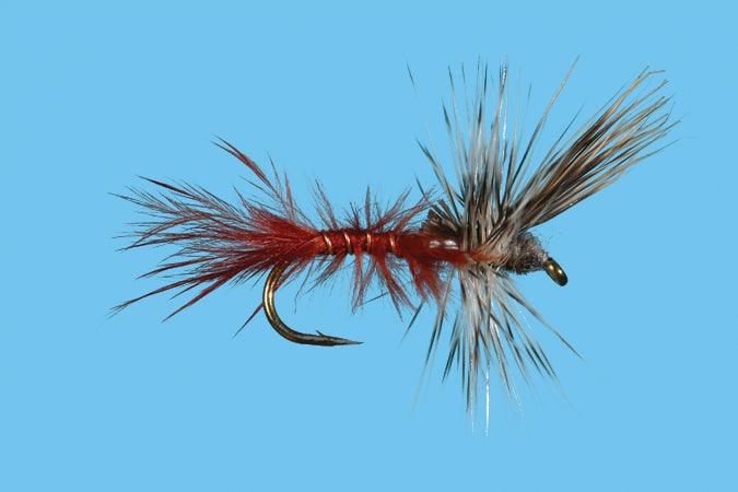 Solitude Callibaetis - Cripple (D115c) 6-Pack