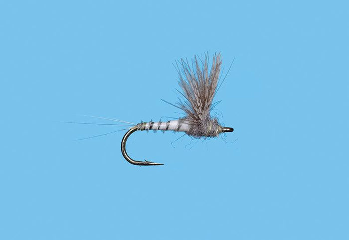Solitude CDC BWO Comparadun - Gray (D164) 6-Pack