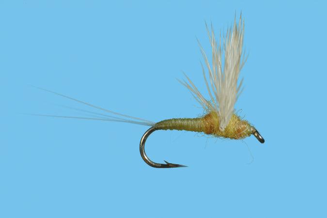 Solitude Comparadun Sulphur (D140) 6-Pack