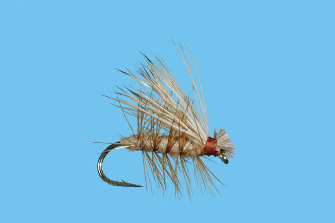 Solitude Elk Hair Caddis (D180) 6-Pack