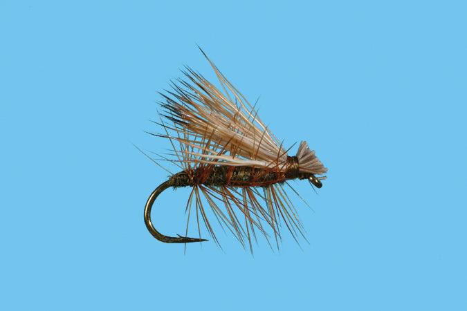 Solitude Elk Hair Caddis (D180) 6-Pack