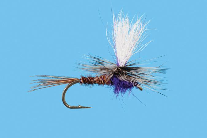 Solitude Parachute Purple Rooster (Pd441) 6-Pack