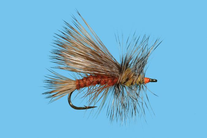 Solitude Stimulator - Orange (D510or) 6-Pack