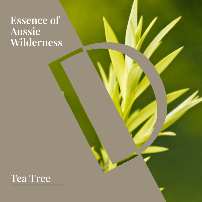 Tea Tree Organic Wellness Grade Essential Oil - Delune