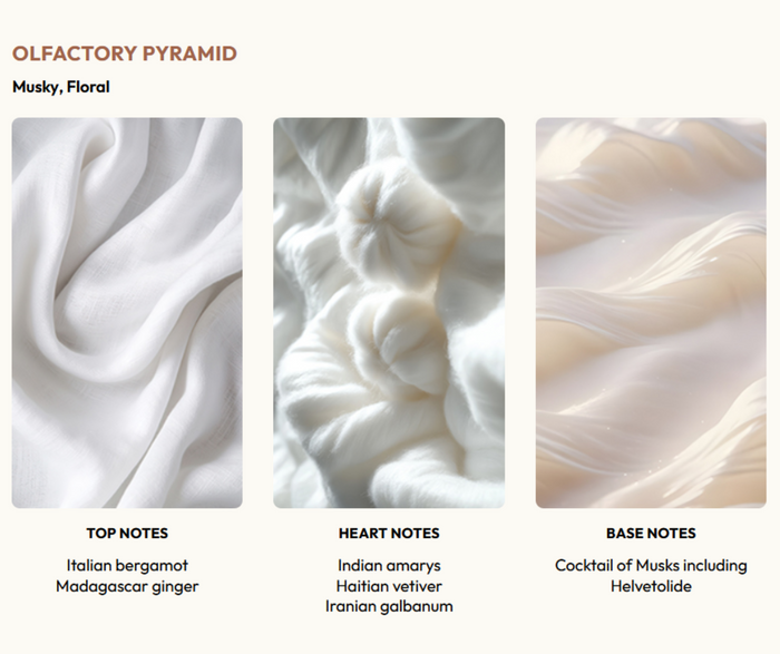 Un Musc | Obvious Parfums