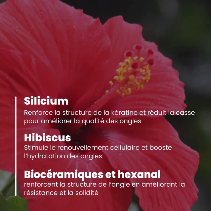 Vernis à ongles vegan Charlotte Bio enrichi en silicium, hibiscus et biocéramiques
